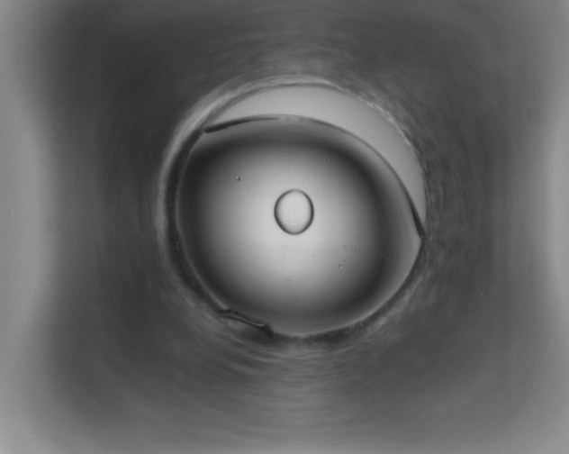 X0000113870248200909241338