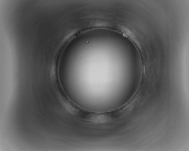 X0000113870249200909241338