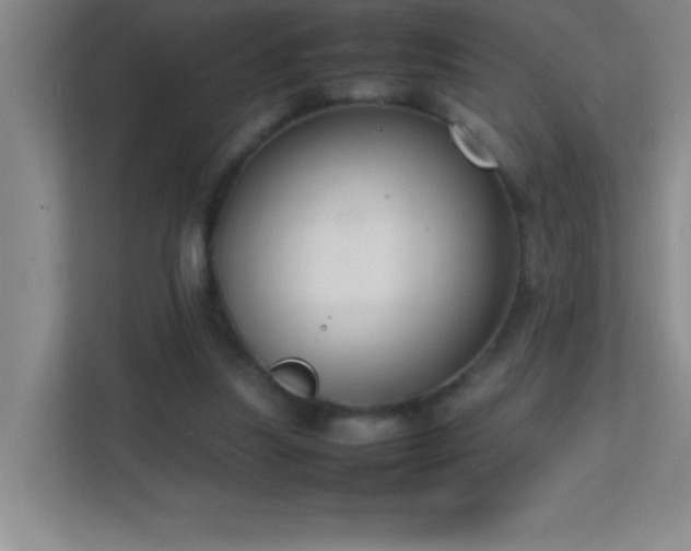 X0000113870251200909241338