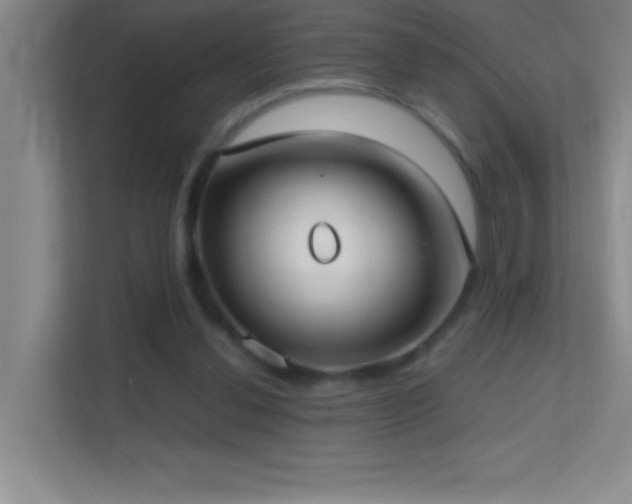 X0000113870252200909241338