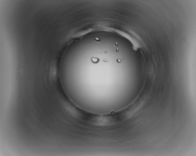 X0000113870261200909241338