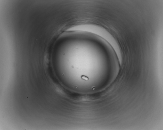 X0000113870264200909241338