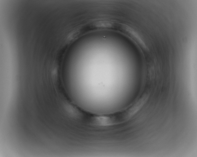 X0000113870265200909241338