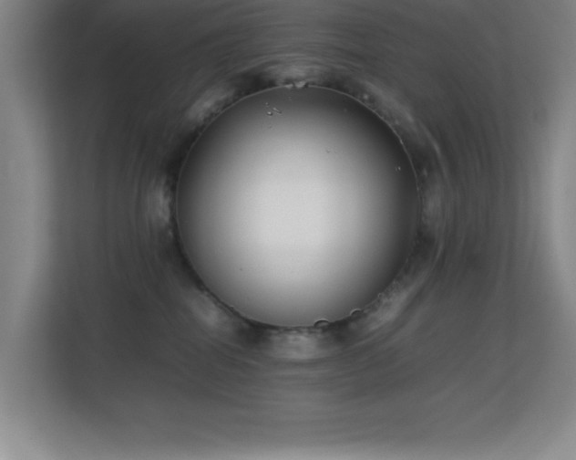 X0000113870282200909241338