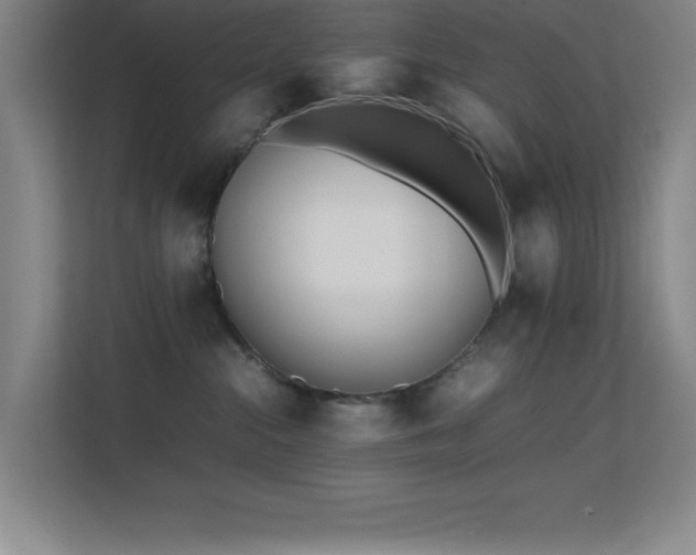 X0000113870284200909241338