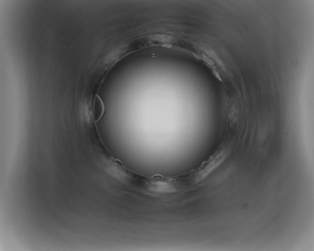 X0000113870285200909241338