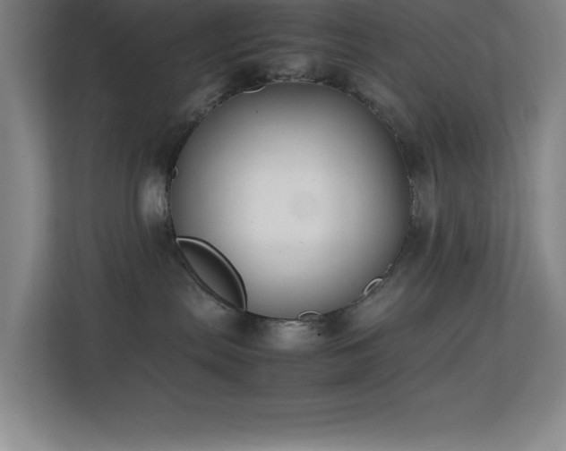 X0000113870287200909241338