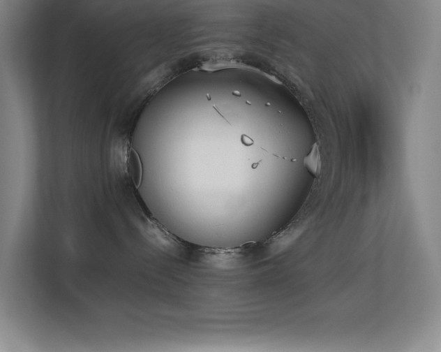 X0000113870288200909241338