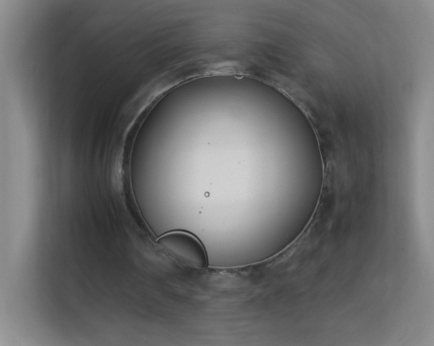 X0000113870290200909241337