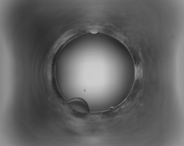 X0000113870291200909241337