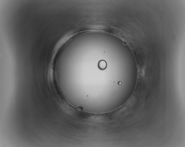 X0000113870294200909241337