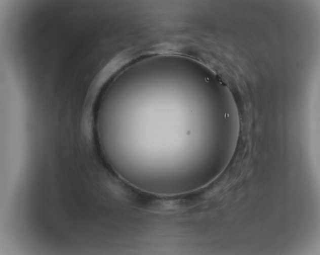 X0000113870295200909241337