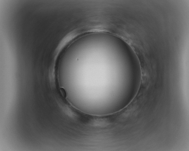 X0000113870296200909241337