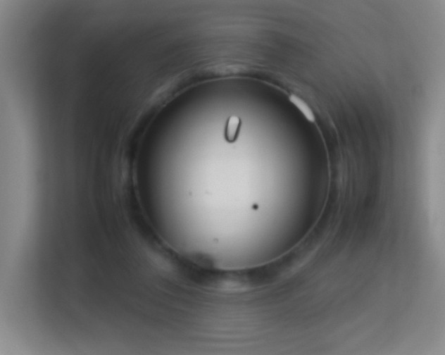 X0000113870308200909241337