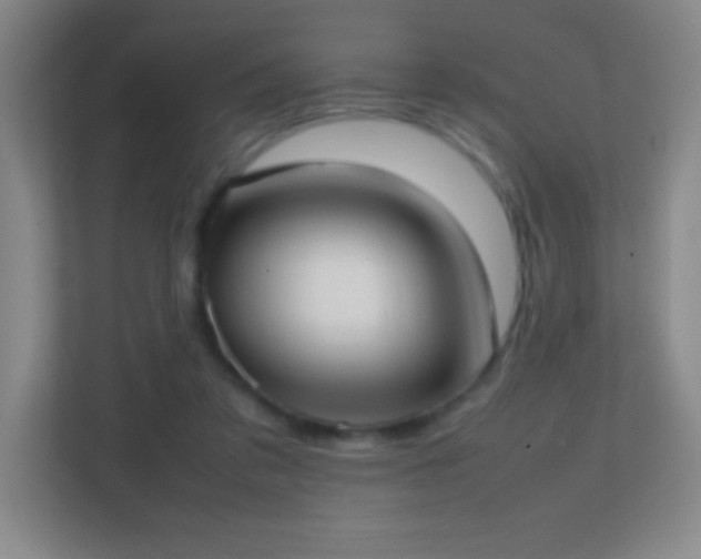 X0000113870309200909241337