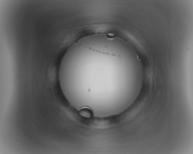 X0000113870311200909241337