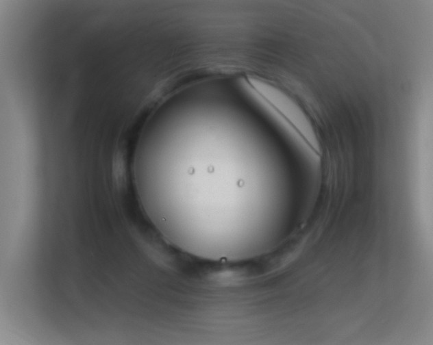 X0000113870312200909241337