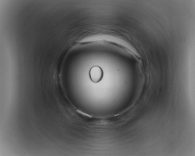 X0000113870316200909241337