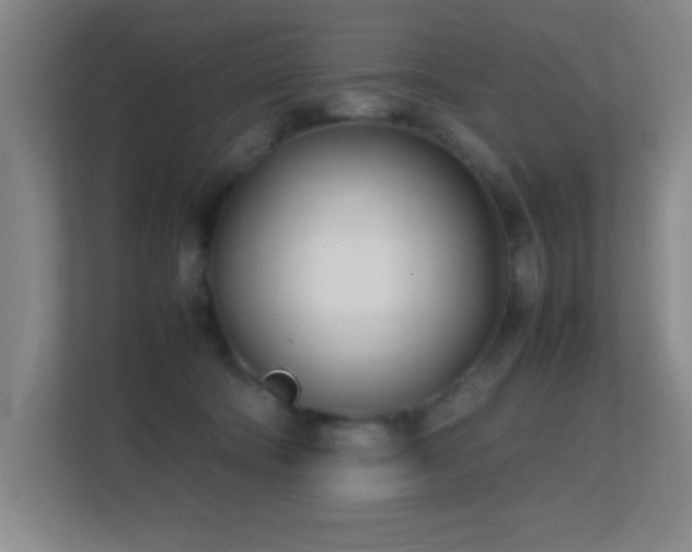 X0000113870322200909241337