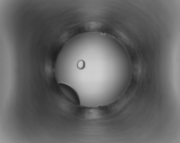 X0000113870324200909241337