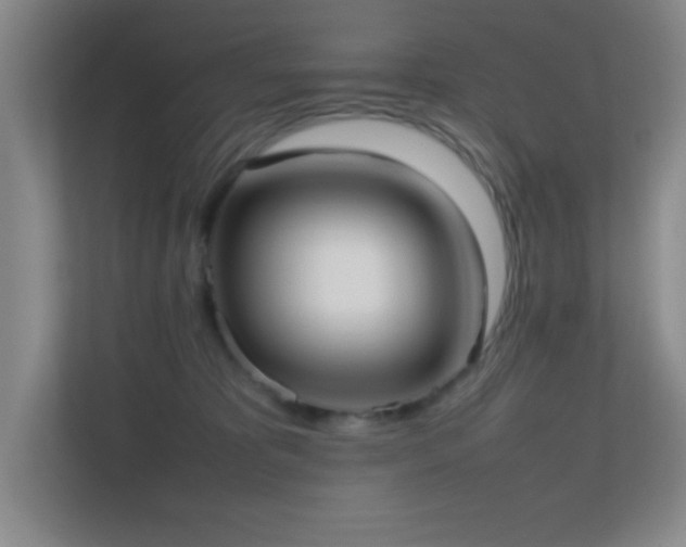 X0000113870325200909241337