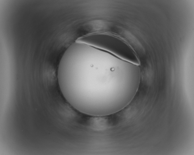 X0000113870327200909241337