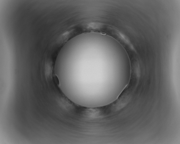 X0000113870328200909241337