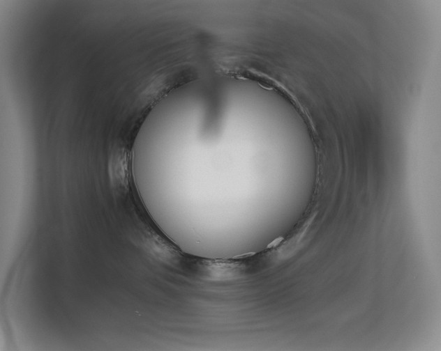 X0000113870336200909241337