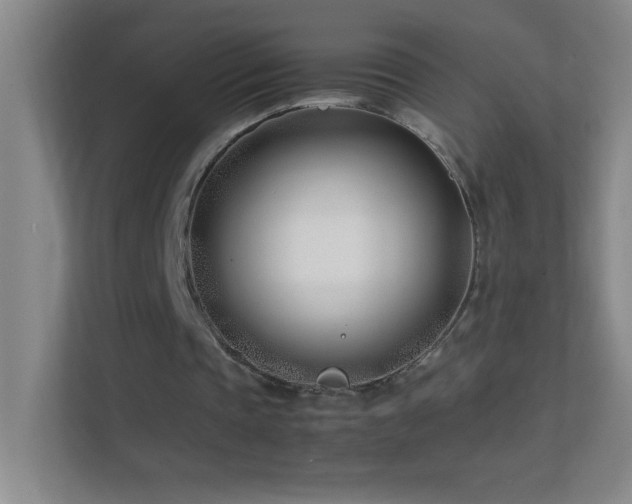 X0000113870337200909241336