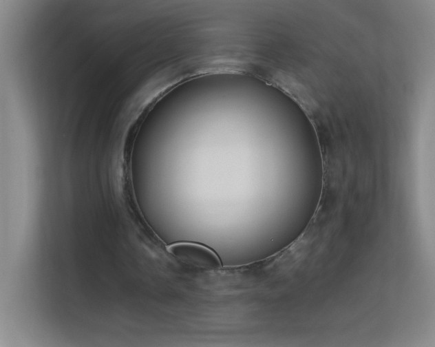 X0000113870338200909241336