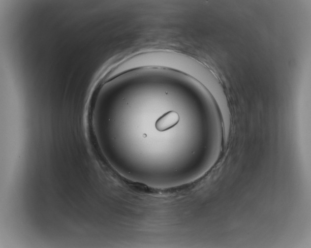 X0000113870340200909241336