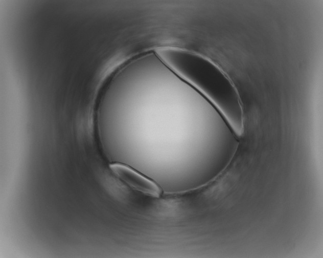 X0000113870344200909241336