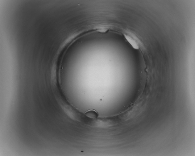 X0000113870346200909241336