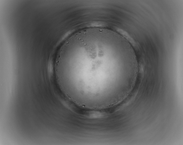 X0000113870347200909241336