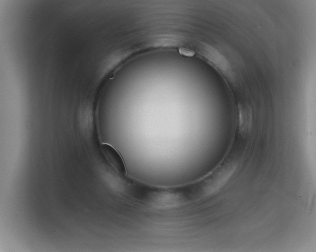 X0000113870348200909241336