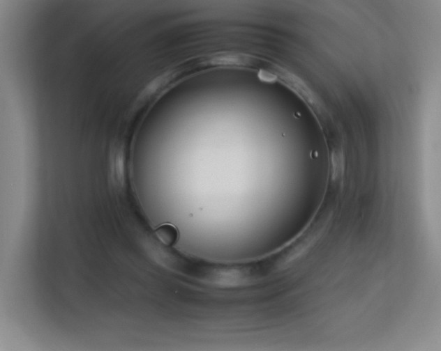 X0000113870349200909241336