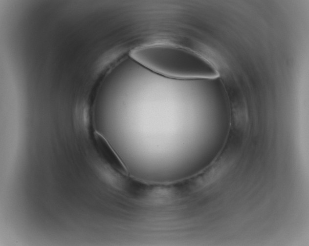 X0000113870350200909241336