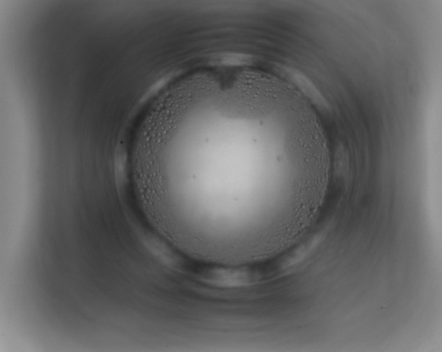 X0000113870351200909241336