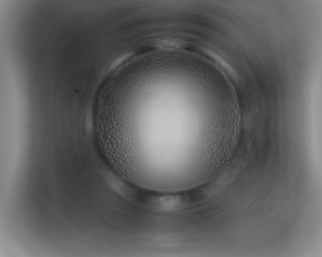 X0000113870353200909241336