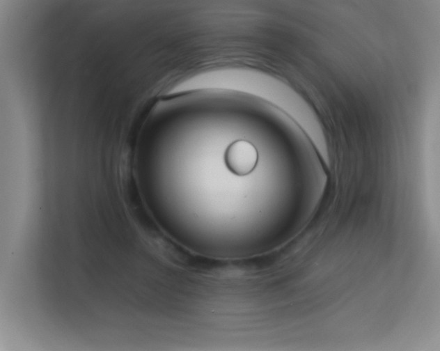 X0000113870356200909241336