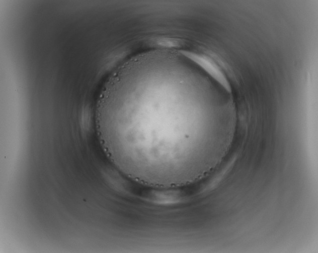 X0000113870359200909241337