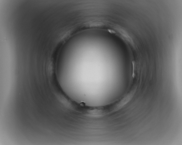 X0000113870362200909241337