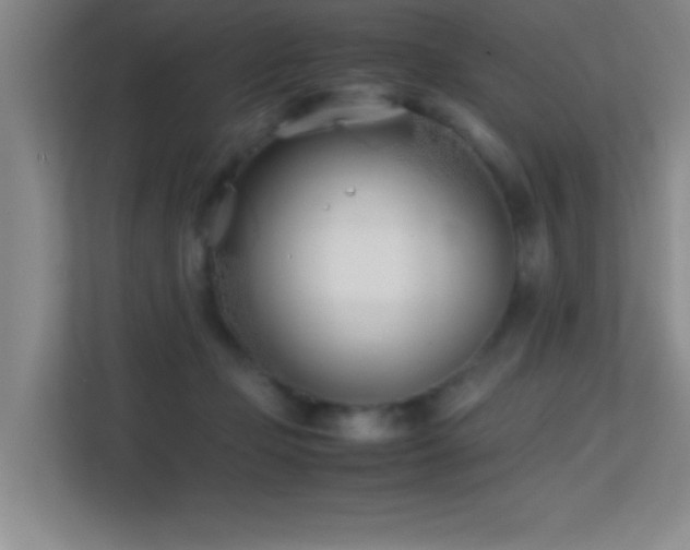 X0000113870365200909241337