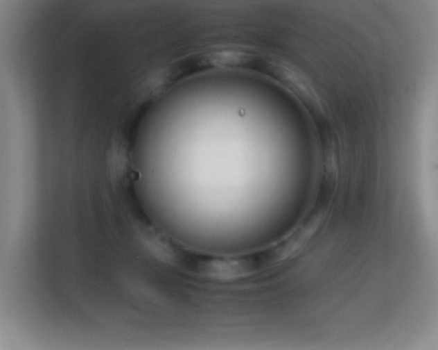 X0000113870367200909241337