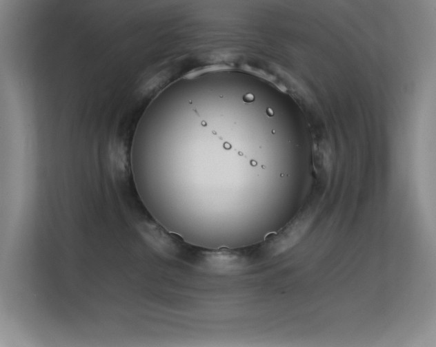 X0000113870380200909241337