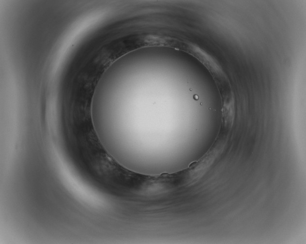 X0000113870381200909241337