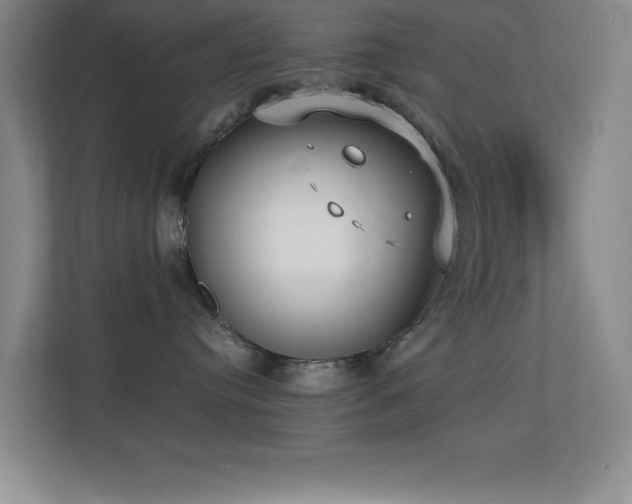 X0000113870384200909241337