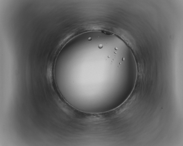 X0000113870386200909241336