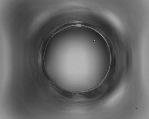 X0000113870387200909241336