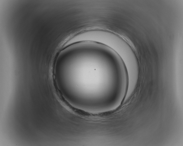 X0000113870389200909241336